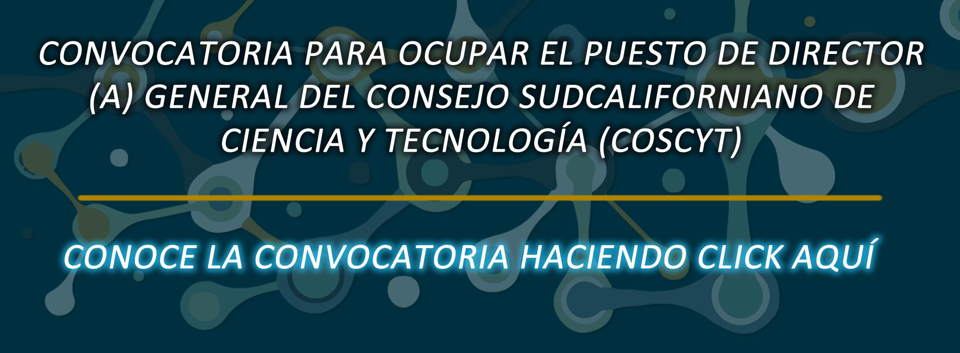 ConvocatoriaDireccionCOSCYT